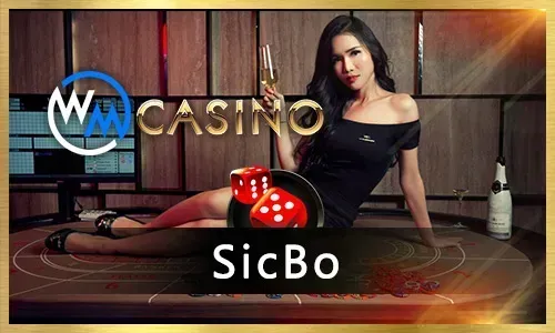 WM Casino Game Table